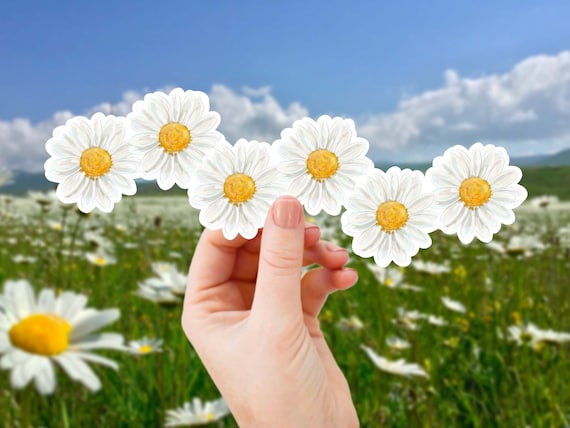 Weißes Gänseblümchen Extra große Blume Aufkleber Retro Aufkleber, Gänseblümchen  Auto Aufkleber, Vinyl ästhetische Aufkleber für Laptop, Wasserflasche,  Daisy Chain -  Österreich