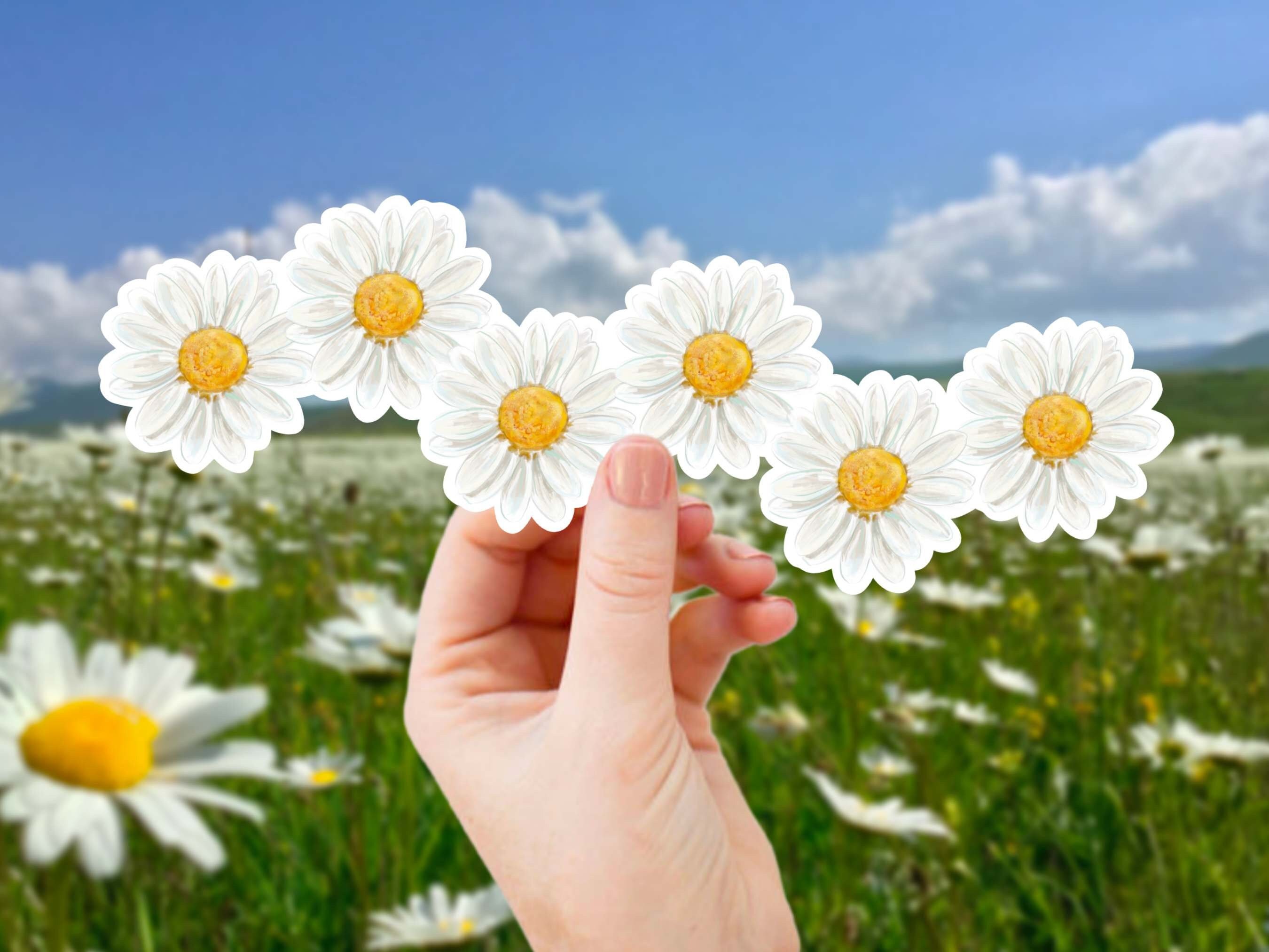 White Daisy Extra Large Flower Stickers - Retro Stickers, Daisies Car Decal, Vinyl Aesthetic Sticker for Laptop, Water Bottle, Daisy Chain