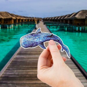 Op de afbeelding: Een hand houdt een blauwe en witte walvishaai-sticker vast tegen een achtergrond van een tropisch resort met turquoise water.