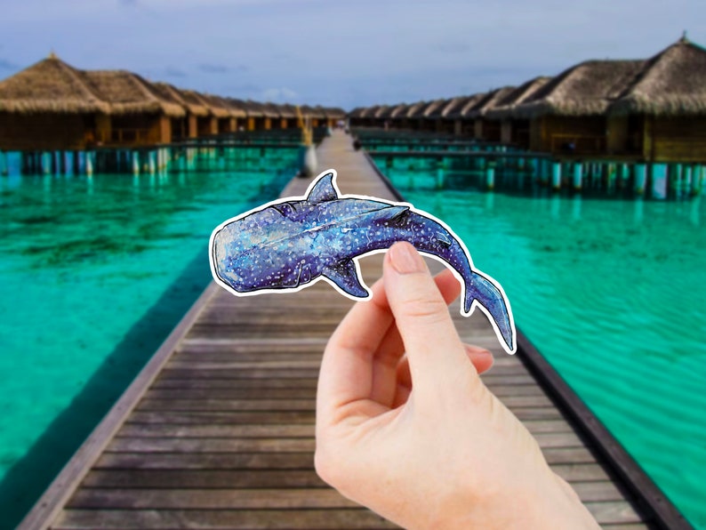 Op de afbeelding: Een hand houdt een blauwe en witte walvishaai-sticker vast tegen een achtergrond van een tropisch resort met turquoise water.