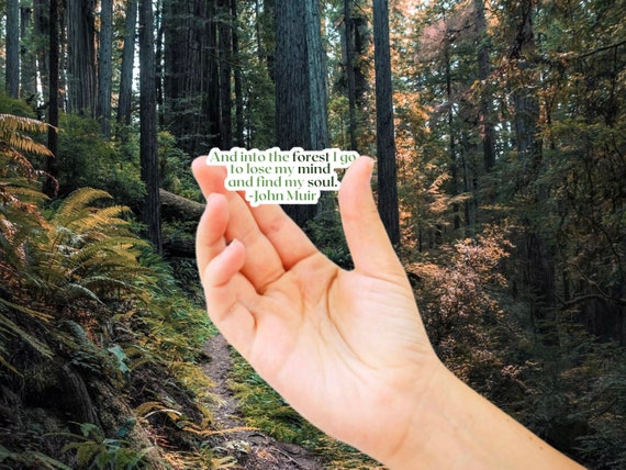 Nature Sticker - John Muir Forest Vinyl Decal for Water Bottle, Phone Case, Car, Hiking Gift, Waterproof Camping Sticker,