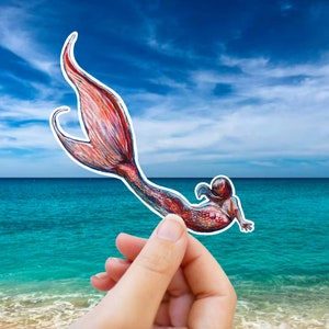 Pegatina de sirena, calcomanía de cola de sirena, regalo de biología marina, calcomanía de Florida, calcomanía de buceo para computadora portátil, funda de teléfono, botella de agua, automóvil