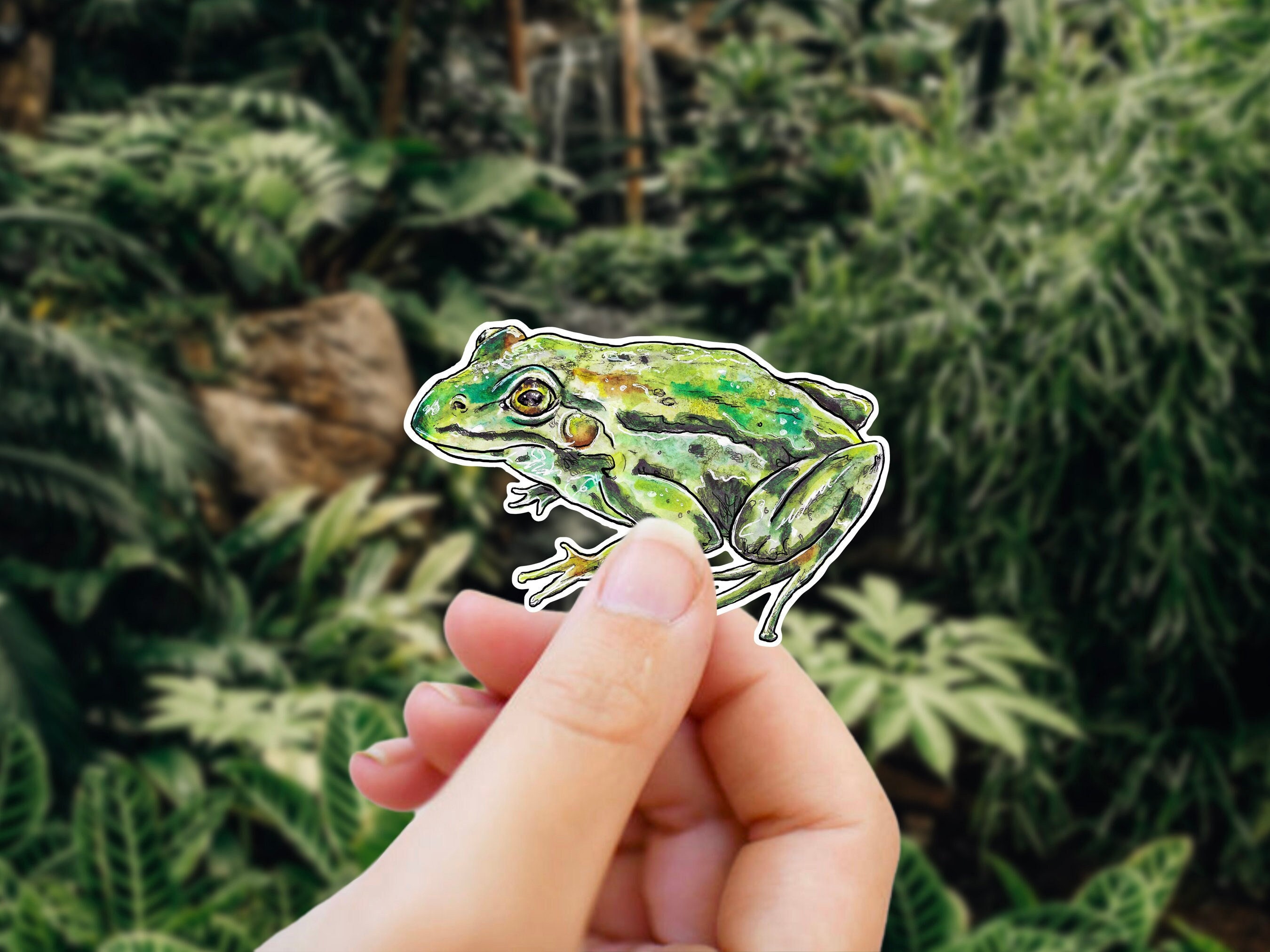 Cute Frog Sticker - Waterproof Vinyl Sticker, Realistic Frog, Froggy Funny Sticker, Toad Decal, Tree Frog, cottagecore, goblincore