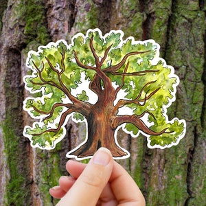Extra großer Baum des Lebens Aufkleber - Vinyl wasserdicht Eiche Baum Aufkleber, Live Eiche, Familienbaum, kühle Natur Aufkleber, Wasserflaschen Aufkleber