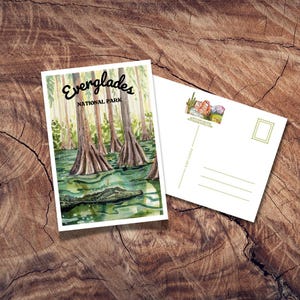 Carte postale du parc national des Everglades, cadeau du parc national, cartes postales anciennes, carte postale alligator, souvenir de voyage, Floride du Sud, Florida Keys