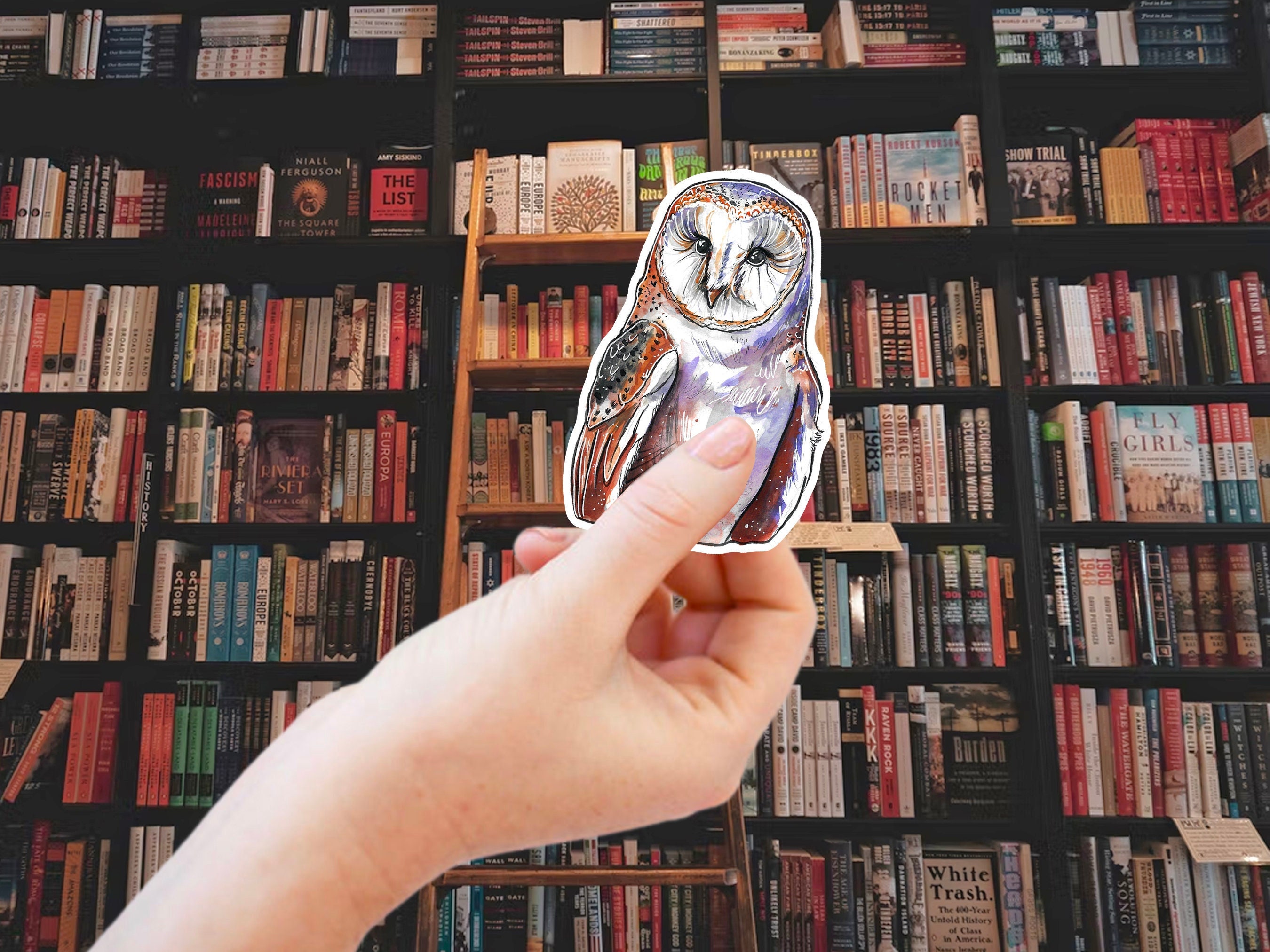 Barn Owl Sticker: Waterproof Vinyl Decal for Laptop, Car, Water Bottle