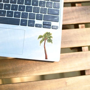 Puede incluir: Un ordenador port&aacute;til plateado con una pegatina de palmera en la esquina superior derecha del trackpad. El port&aacute;til est&aacute; sobre una superficie de madera.