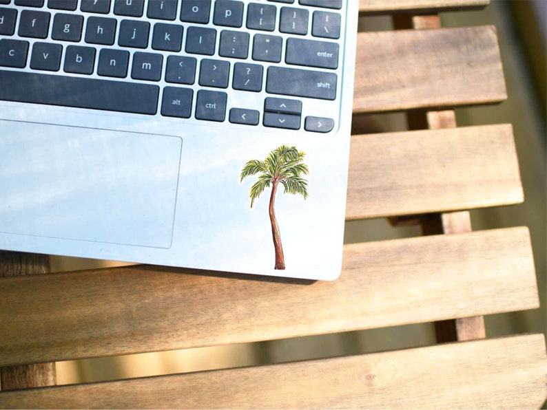Puede incluir: Un ordenador port&aacute;til plateado con una pegatina de palmera en la esquina superior derecha del trackpad. El port&aacute;til est&aacute; sobre una superficie de madera.