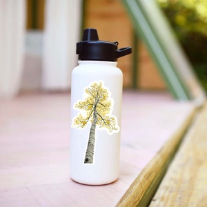 XL Aspen Tree Sticker - Vinyl Waterproof Forest Decal, Aspen Colorado Gift, Infinity Sticker, Yellow Birch Tree, Aspen Leaf, Fall Kindle