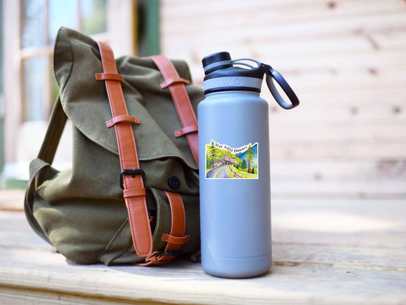 May include: A gray water bottle with a sticker of a road with trees and the text "Blue Ridge Parkway". The bottle is next to a green backpack with brown straps.