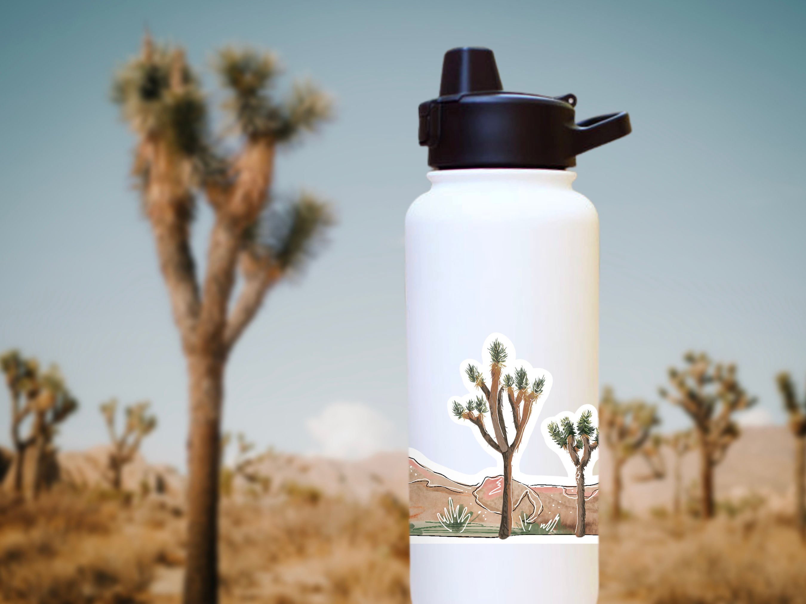 Adesivo Joshua Tree National Park, California - Foto 6