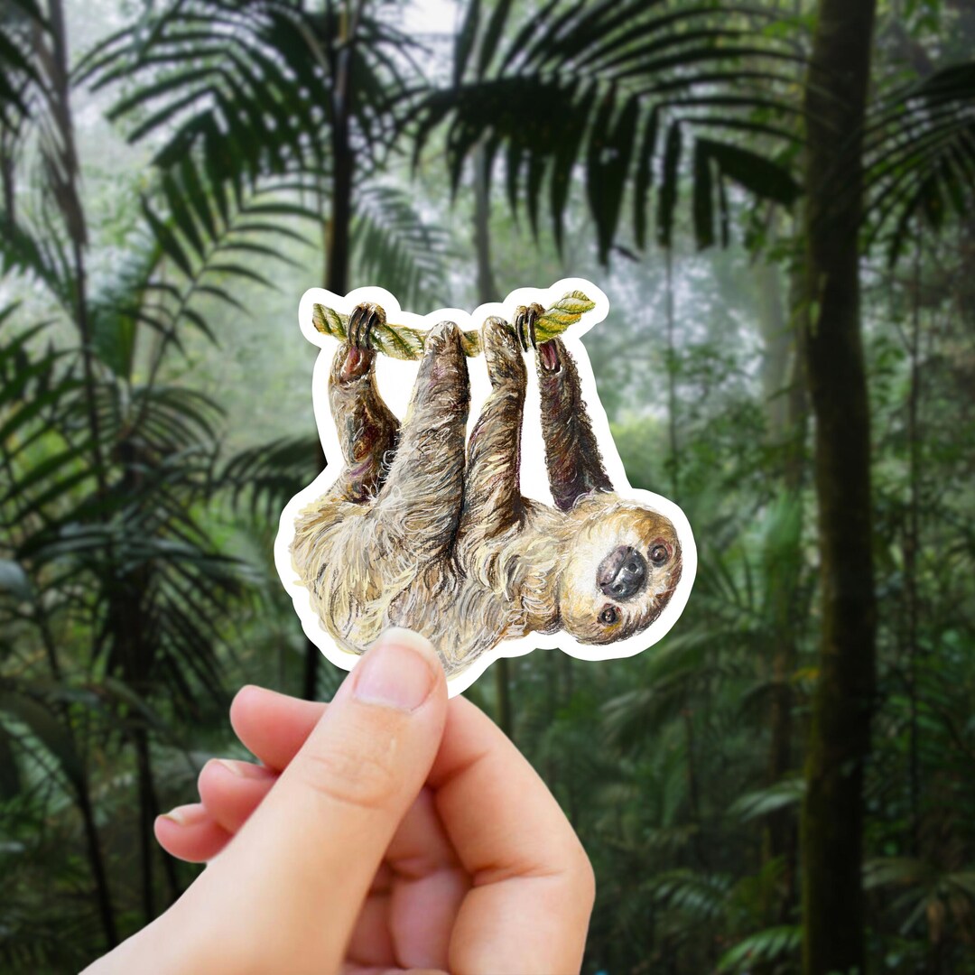 Sloth Sticker, Costa Rica, Zoo Animal Vinyl Decal - Etsy