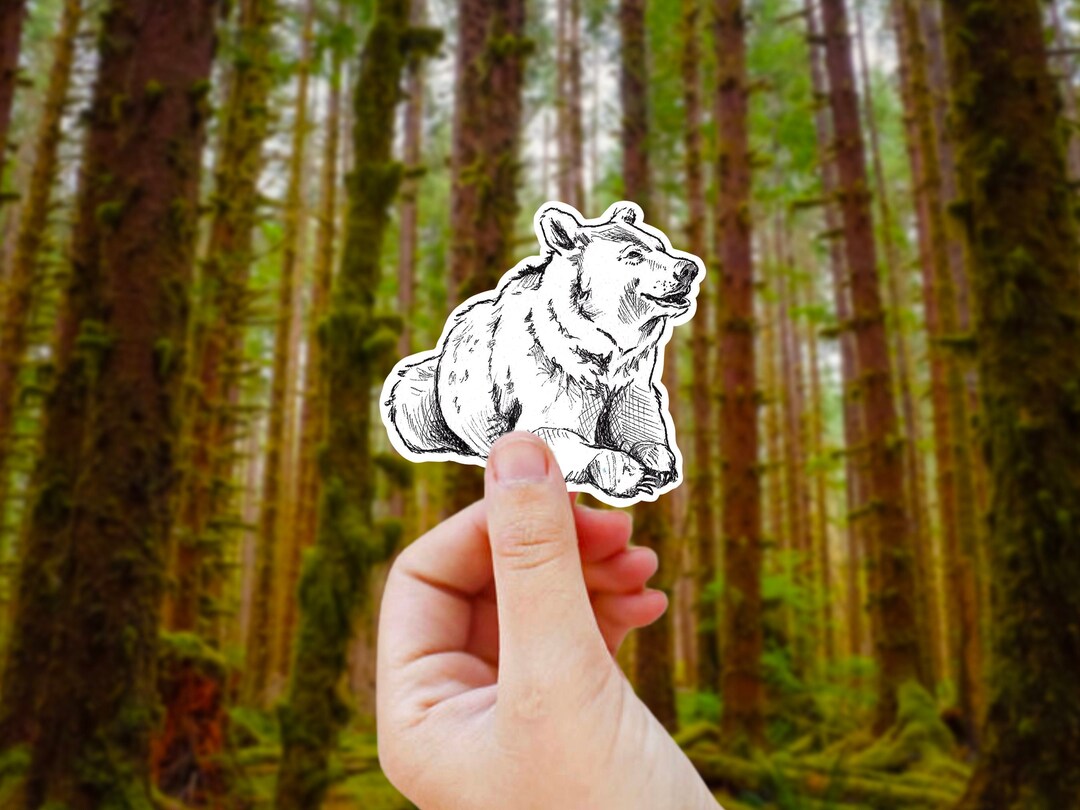 Bear Sketch Vinyl Sticker: Nature Forest Animal Decal - Etsy