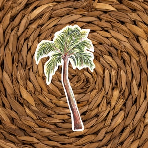 Puede incluir: Una ilustraci&oacute;n dibujada a mano de una palmera sobre un fondo tejido marr&oacute;n.