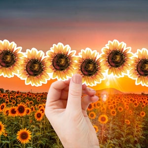 Stickers tournesols extra larges - Décalcomanie en vinyle tournesol, mois de la fleur de naissance, Sticker fleur pour vitre de voiture, ordinateur portable, bouteille d'eau, coque de téléphone