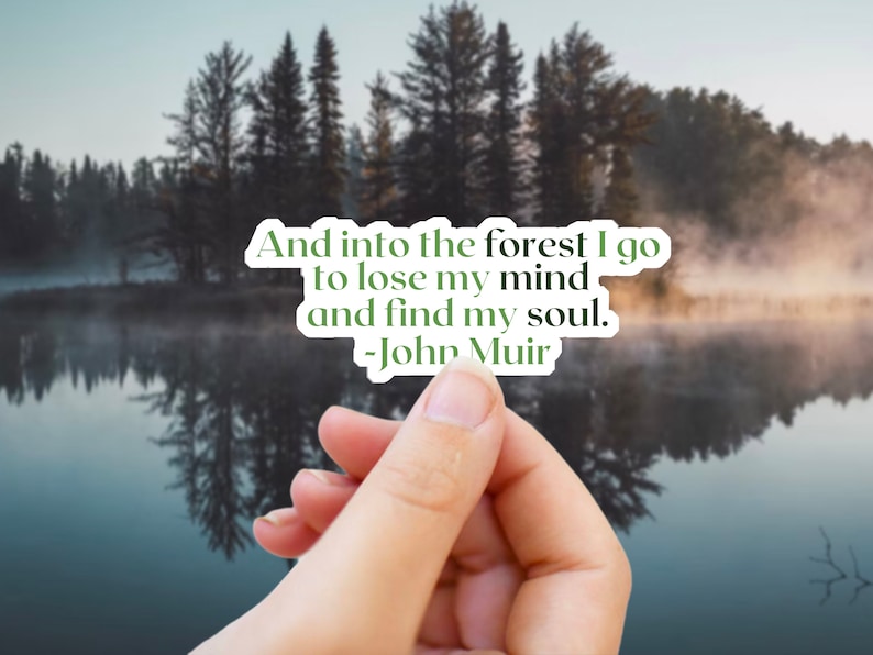 May include: A sticker with a quote by John Muir: "And into the forest I go to lose my mind and find my soul."