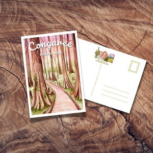 Congaree Nationalpark Postkarte, Nationalpark Geschenk, Vintage Postkarten, South Carolina Postkarte, Reiseandenken