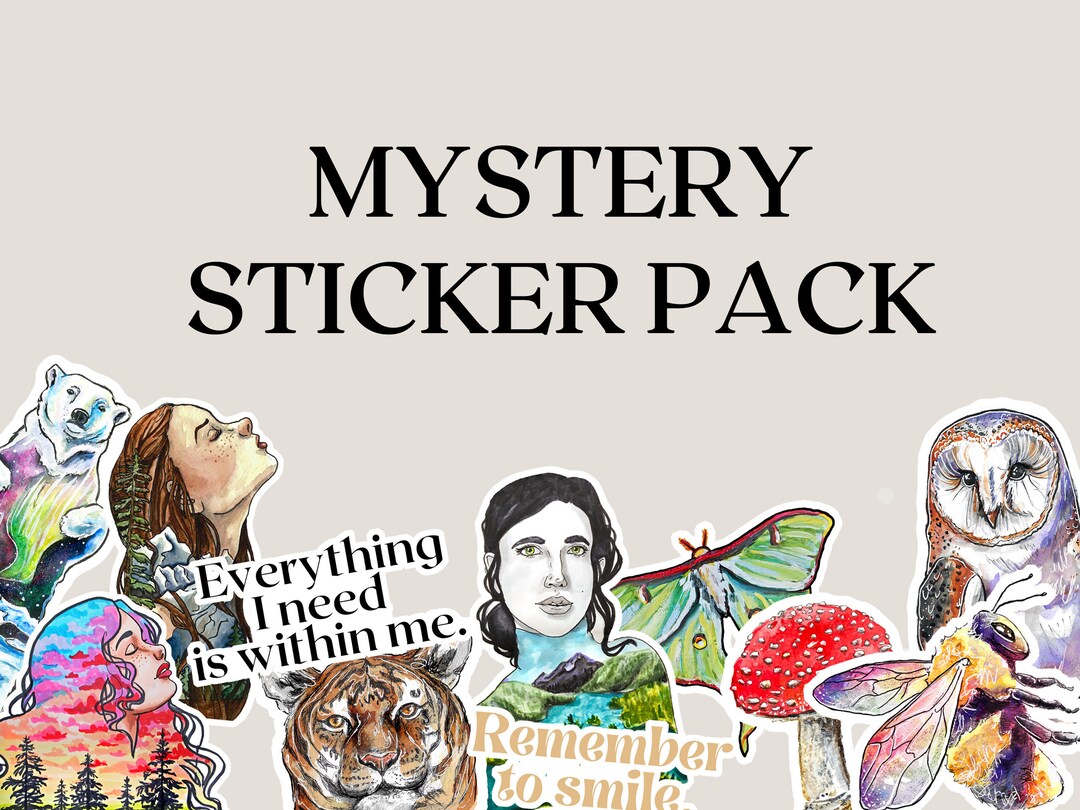 Random Sticker Pack, Vinyl Waterproof Sticker Mystery Grab Bag, Vinyl ...