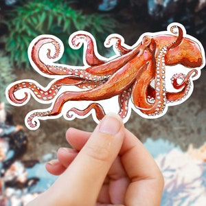 Kraken Sticker Octopus Sticker, Squid Sticker, Marine Biology Gift, Ocean Art, Sea Creature Sticker for Laptop, Water Bottle 画像 4