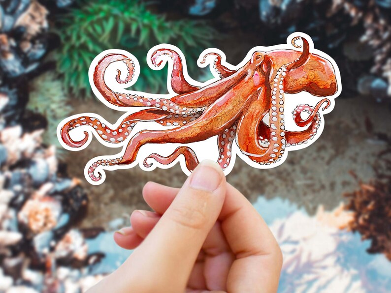 Kraken Sticker Octopus Sticker, Squid Sticker, Marine Biology Gift, Ocean Art, Sea Creature Sticker for Laptop, Water Bottle zdjęcie 4