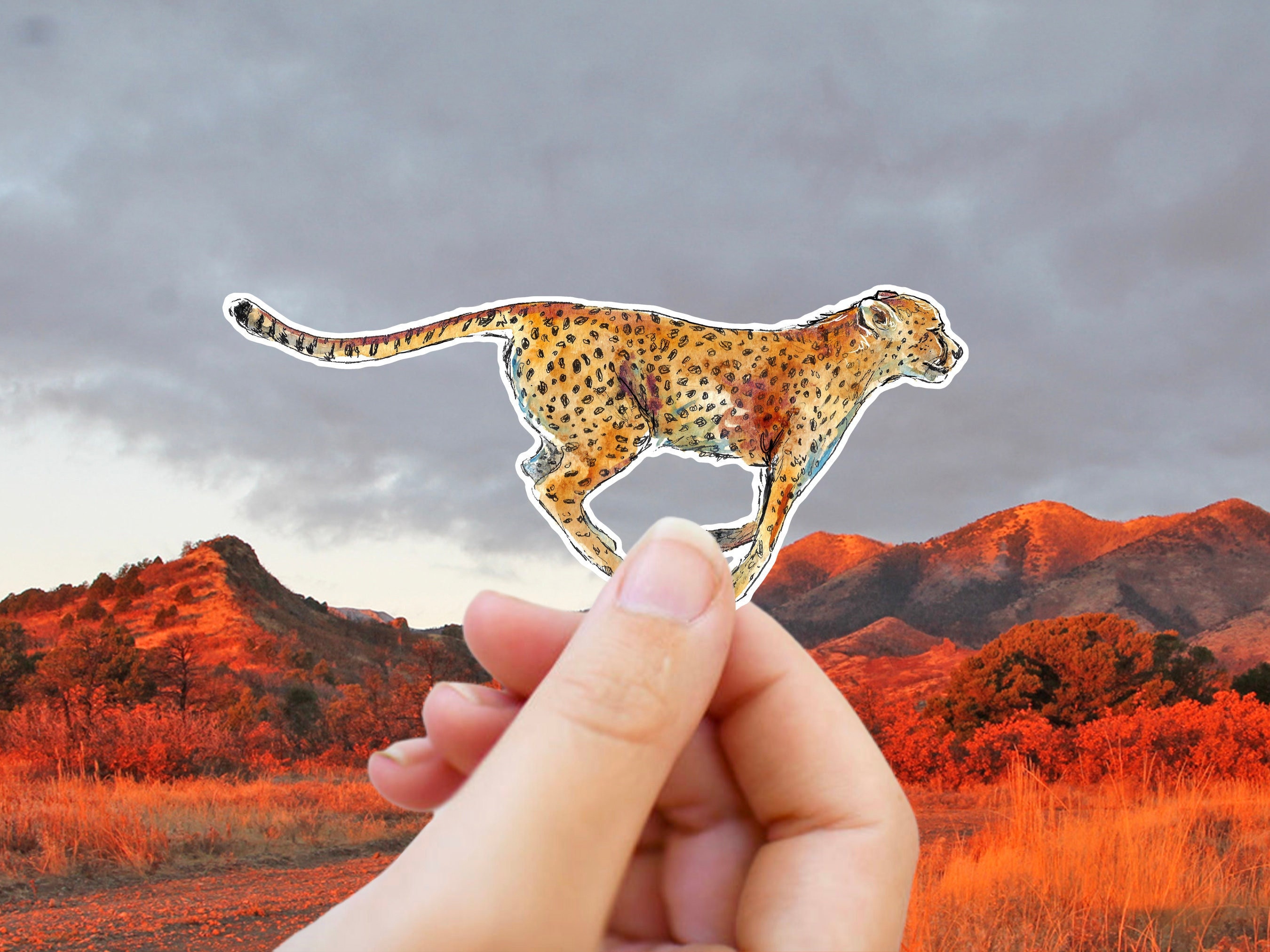Cheetah Sticker: Waterproof Vinyl Decal for Laptop, Car, Tumbler - Etsy