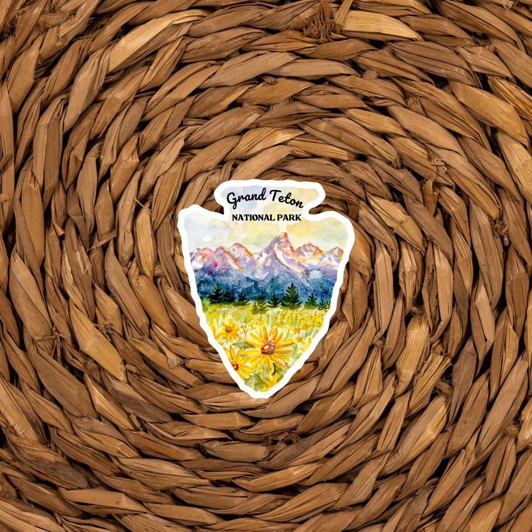 Scarica Fiume, Parco Nazionale, Montagne, Grand Teton, Foresta, Wyoming, Stati Uniti Sfondi Per - Foto 3