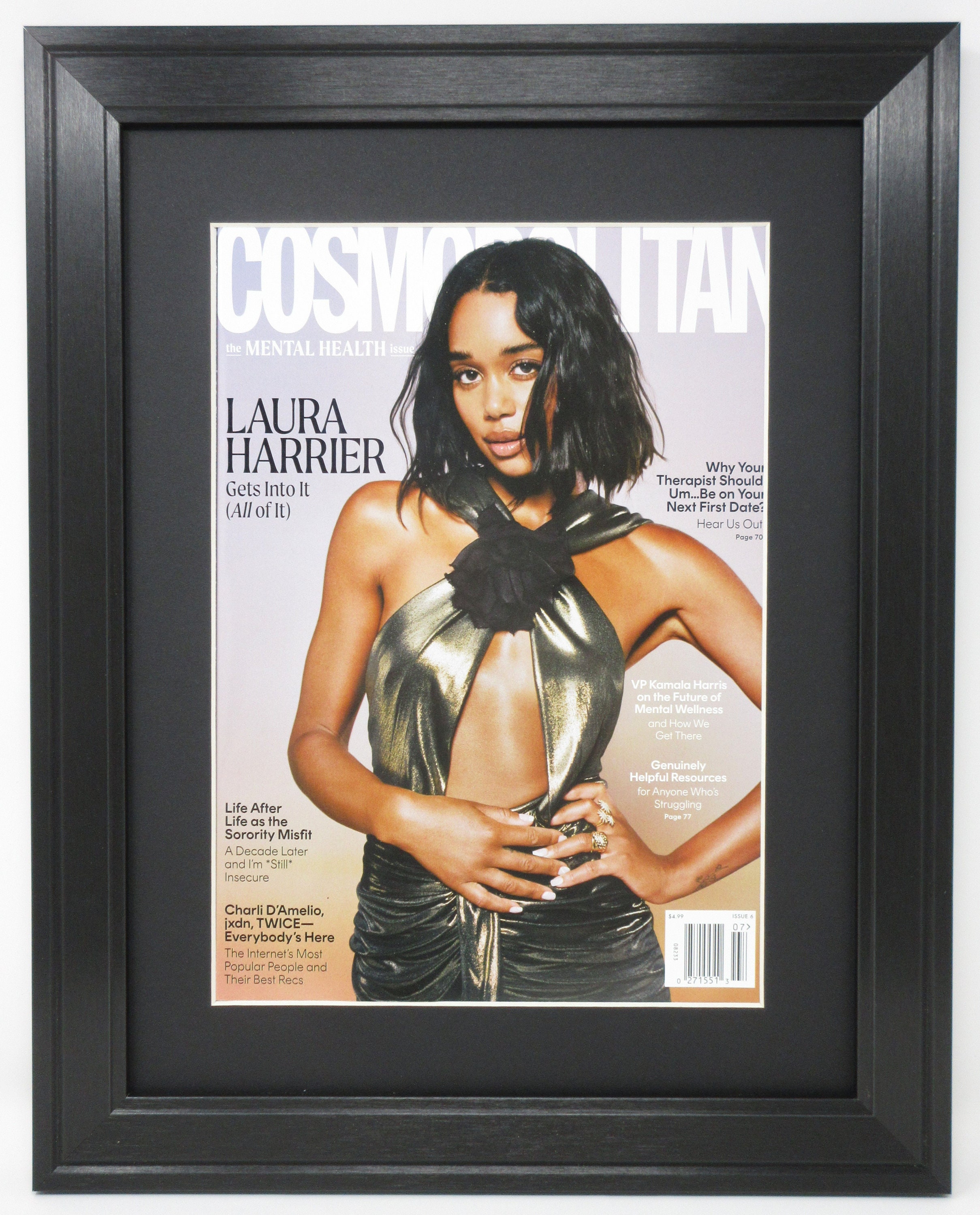 Magazine (not Included) Picture Display Wall Frame With Magazine (not Included) Picture Display Wall Frame With