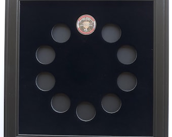 10 Casino Poker Chip (Not Included) Picture Display Wall Frame Made in the USA