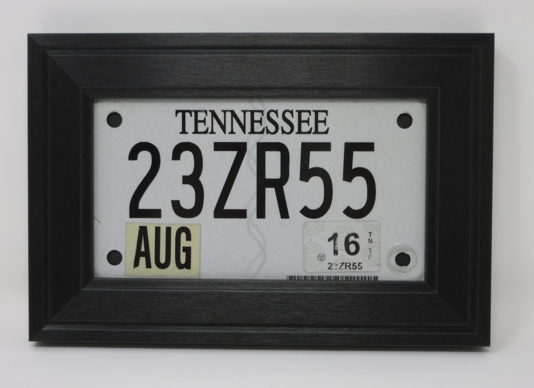 Motorcycle or Golf Cart License Plate Tag not Included Wall Display