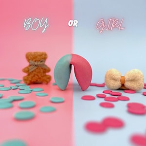Biscuits divinatoires de révélation du sexe, faire-part de grossesse, biscuit de fortune personnalisé, annoncer une grossesse, faire-part de bébé, annoncer le sexe