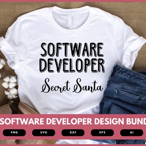 Software Developer