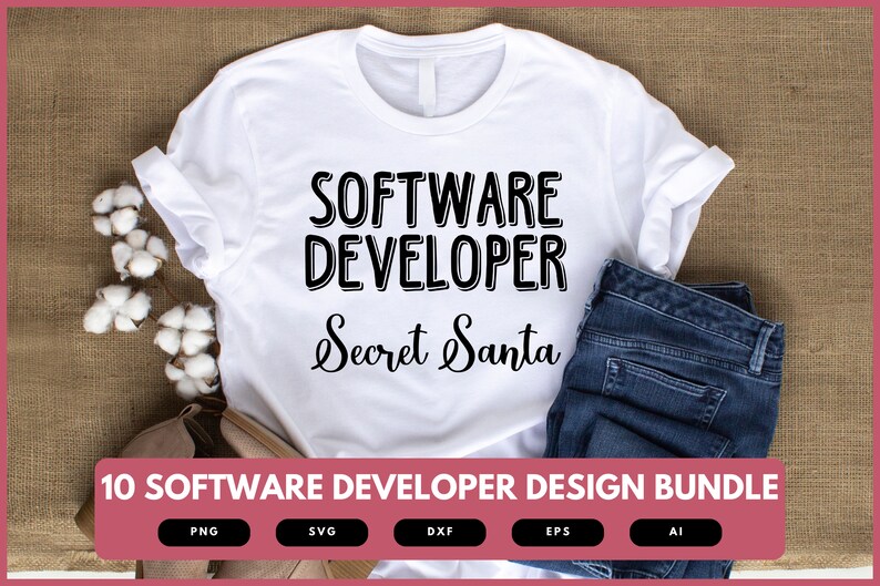 Software Developer