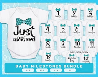 Baby Milestones  Boy SVG Cut Bundles | Baby Monthly Milestones Bundle | Baby Months Onesies Design For Girl