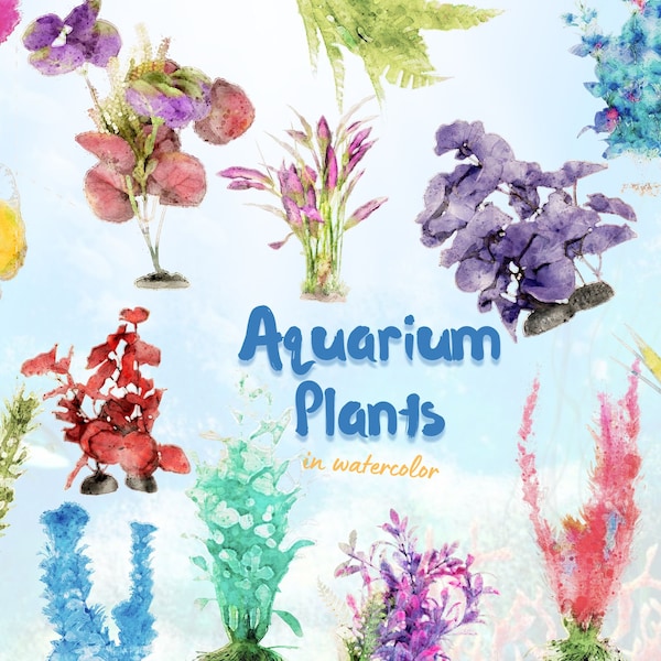 25 Watercolor Aquarium Plants | Aquarium Plants  | Aquarium Plants SVG | Aquarium Plants  | Aquarium Plants SVG | Aquarium Plants PNG