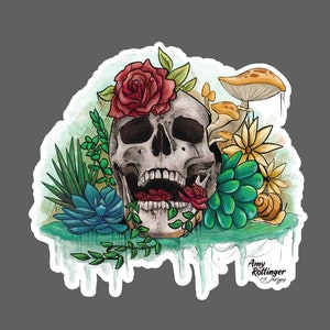 Calavera y plantas