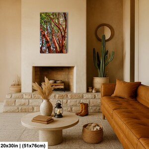 May include: A 20x30 inch (51x76cm) canvas print of a vibrant forest scene. The artwork features tall trees with striking red-orange bark and green foliage, displayed above a fireplace in a cozy living room setting.