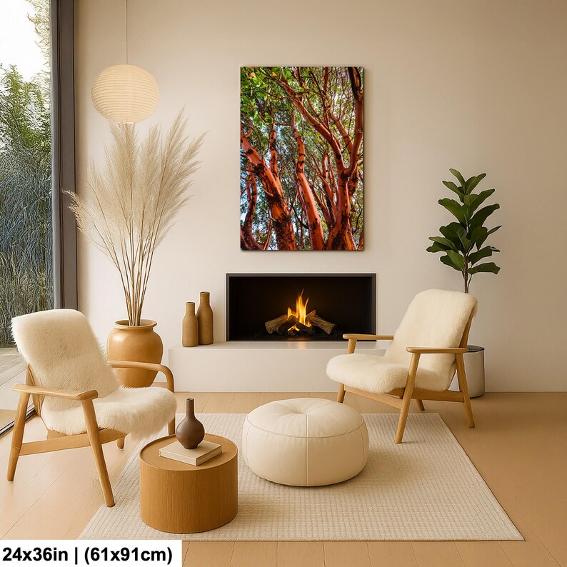 May include: A framed canvas print featuring a vibrant image of tree trunks with reddish-brown bark and green foliage. The artwork is displayed above a fireplace in a modern living room setting. The print measures 24x36 inches.