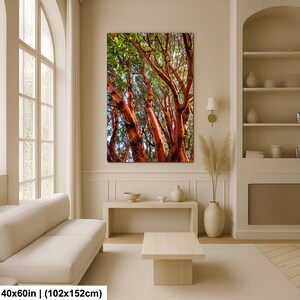 May include: A large canvas print of a tree with vibrant red-orange bark and green leaves. The artwork is displayed in a living room setting, with a neutral color palette and modern furniture. The print measures 40x60 inches.