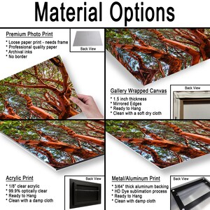 May include: Image showcasing various material options for artwork, including a premium photo print, gallery-wrapped canvas, acrylic print, and metal/aluminum print. Each option is displayed with a sample image of a tree with red branches and green leaves, along with details.