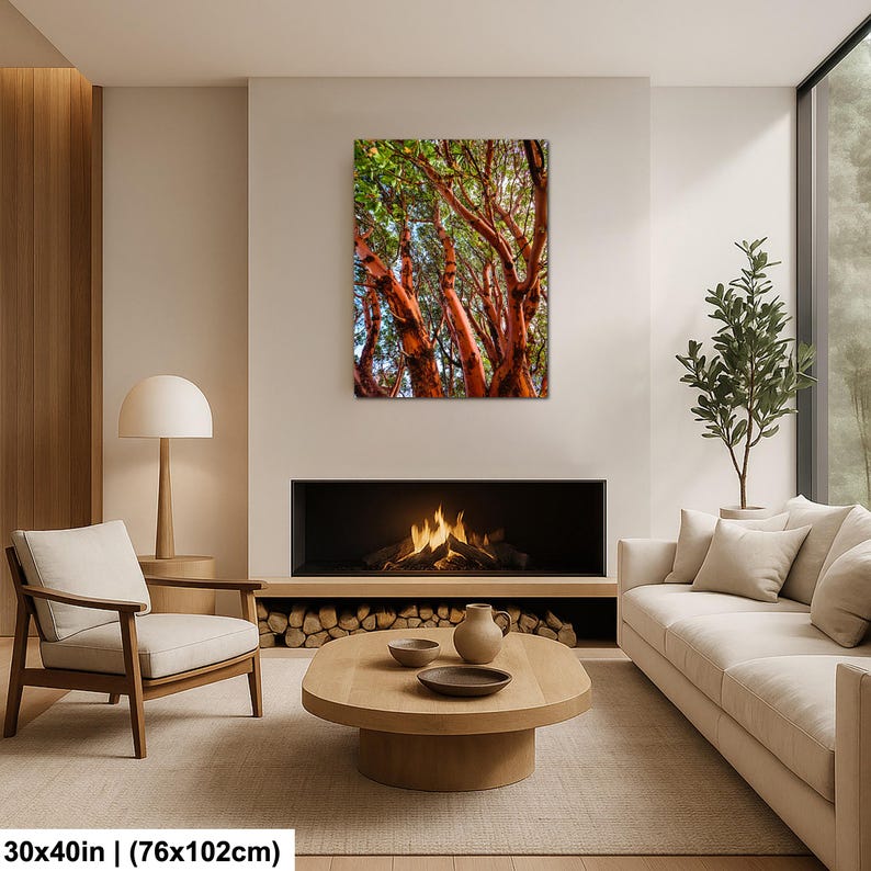 May include: A framed canvas print featuring a close-up of trees with vibrant red-orange bark and green foliage. The artwork is displayed above a fireplace in a modern living room setting. The print measures 30x40 inches.