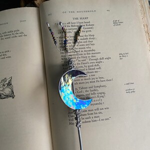 Cosmic Moon Plant Stake