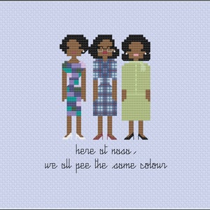 Parody Hidden Figures PDF Cross Stitch Pattern