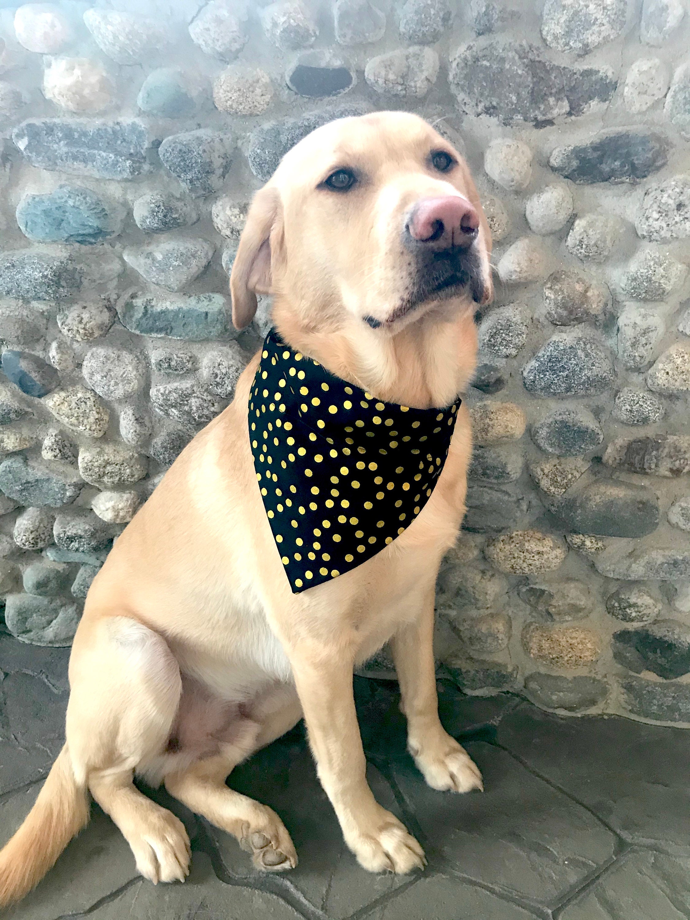 Dog BandanaOver the CollarDog Bandana Etsy