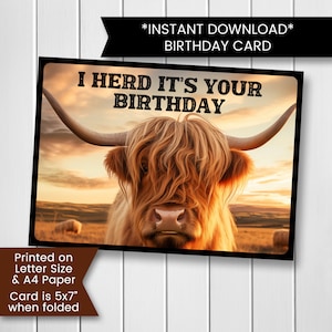 Cartão de aniversário de vaca Highland, cartão de aniversário com vaca, cartão de aniversário de vaca Highland para impressão, Highland Cattle Coos, para impressão, digital, download