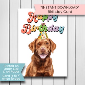 Chocolate Lab Geburtstagskarte, druckbare Geburtstagskarte für Hund, Retriever Geburtstagskarte, alles Gute zum Geburtstag Karte, Hundeliebhaber, bedruckbar, Digital