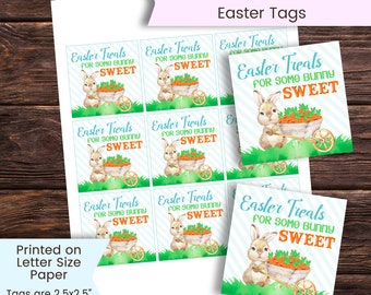 Easter Tags Printable, Easter Basket Tags, Easter Bunny Tag, Easter Gift Tag, Carrot, Easter Treats for Some Bunny Sweet, Printable, Digital
