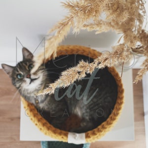 Puede incluir: Un gato atigrado gris con ojos verdes est&aacute; relaj&aacute;ndose en una cama de gato de crochet amarilla. La cama est&aacute; sobre una superficie blanca con una cama de crochet azul verdoso m&aacute;s peque&ntilde;a debajo. Una planta de hierba de la pampa seca est&aacute; en el fondo.