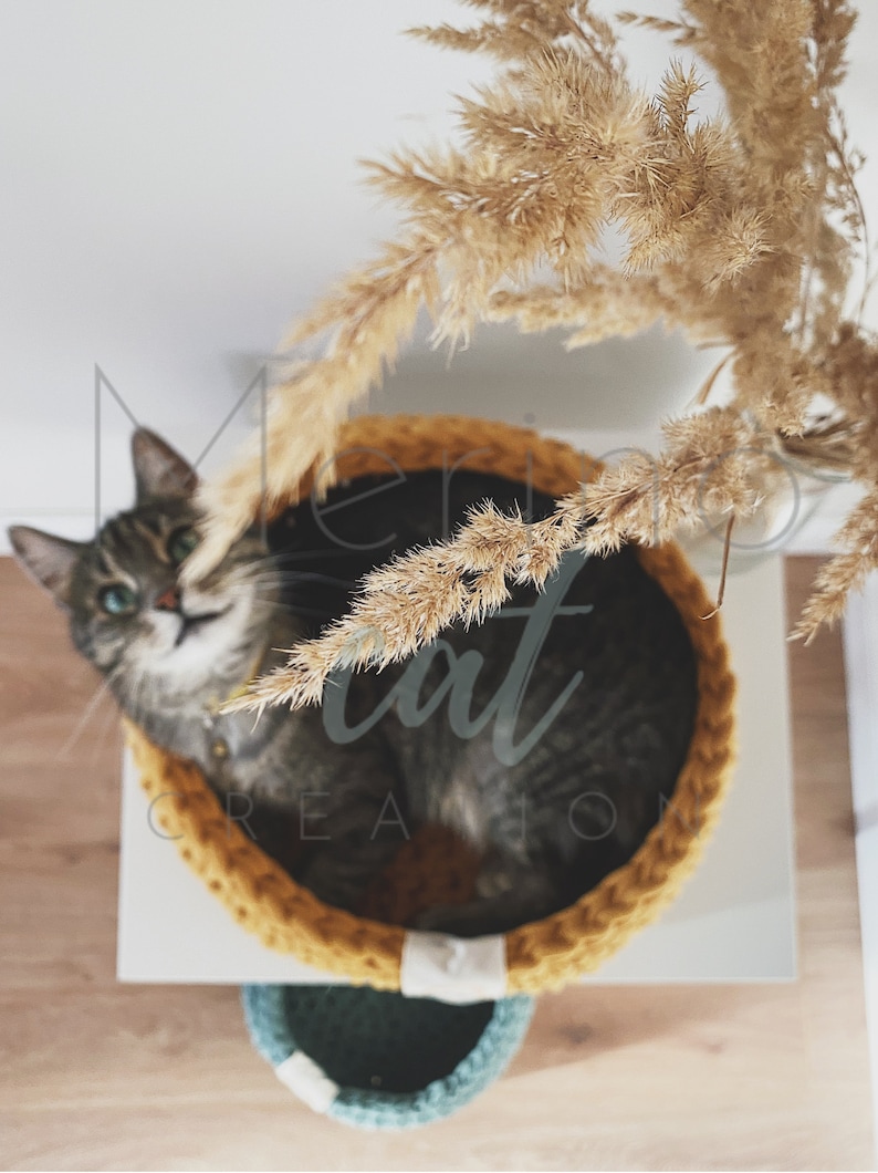 Puede incluir: Un gato atigrado gris con ojos verdes est&aacute; relaj&aacute;ndose en una cama de gato de crochet amarilla. La cama est&aacute; sobre una superficie blanca con una cama de crochet azul verdoso m&aacute;s peque&ntilde;a debajo. Una planta de hierba de la pampa seca est&aacute; en el fondo.