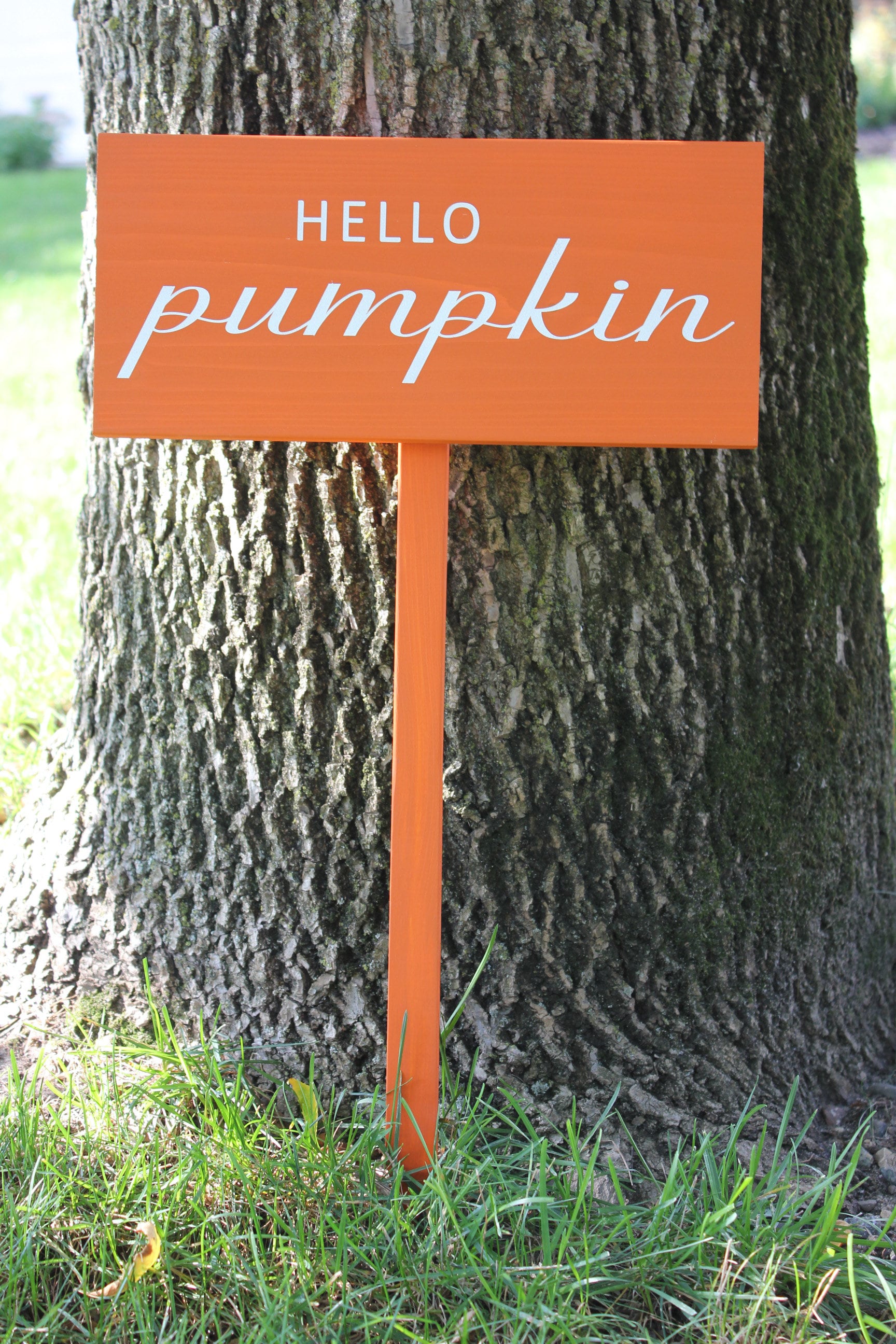 Hello Pumpkin Yard Stake Yard Sign Flower Pot Sign Fall Garden Stake Sign Front Door Sign Etsy