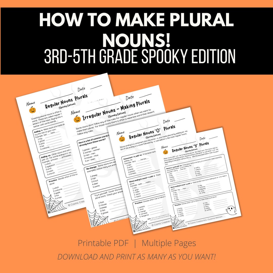 Plural Nouns 8 Noun Rules Common Core Third Grade Plural Etsy